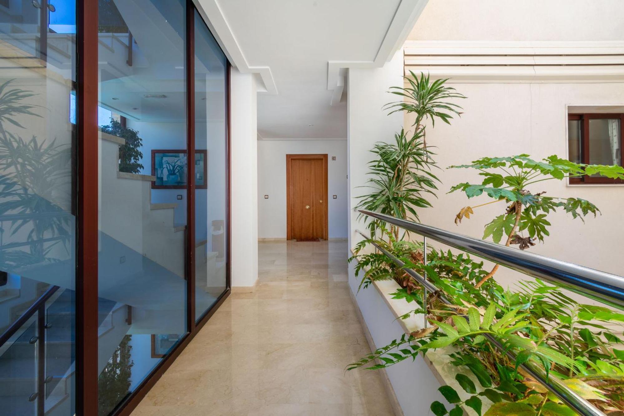 Apartamentos Albir Confort - Avenida 1 Dorm El Albir Exterior photo